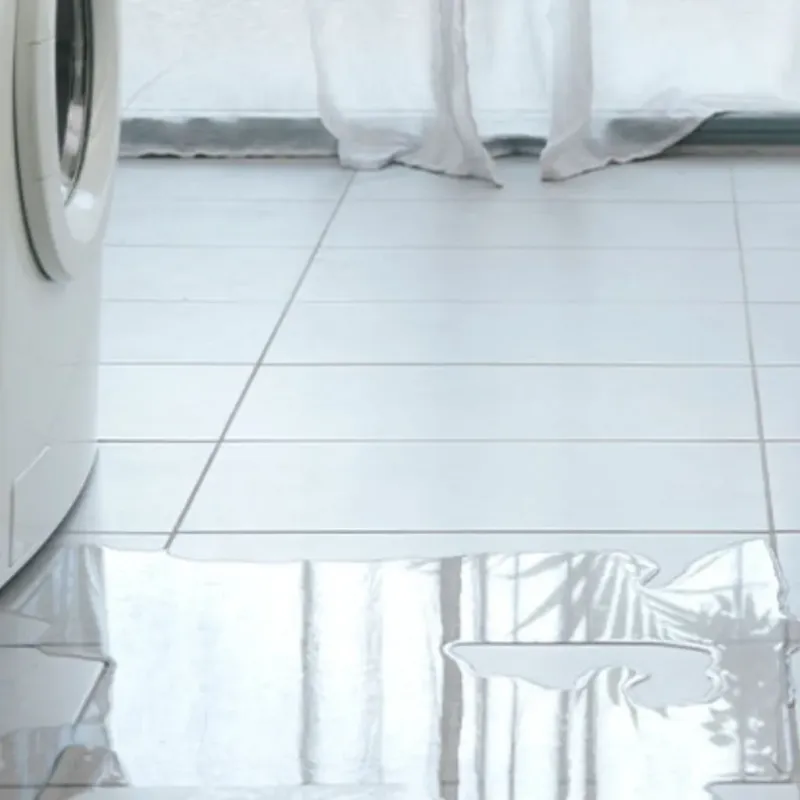 Appliance Leak Cleanup in Carthage, NC