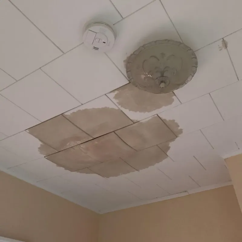Ceiling Water Damage Repair in Carthage, NC