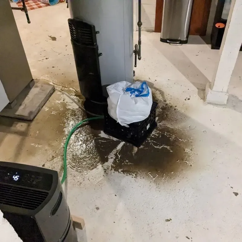 Sewage Backup Cleanup Service in Carthage, NC
